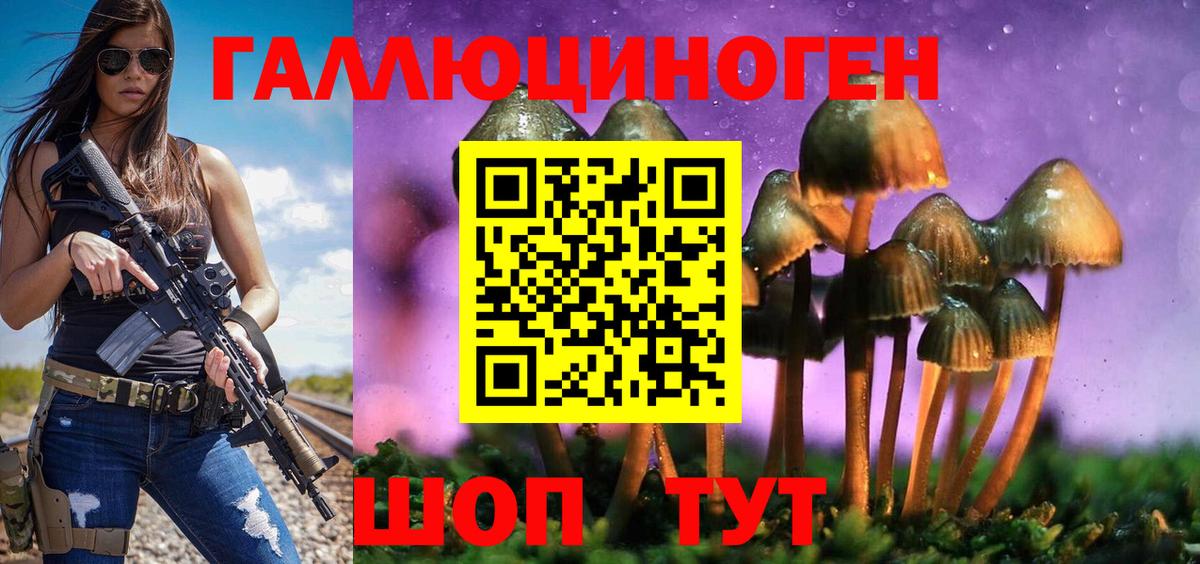 Псилоцибиновые грибы Cubensis Джанкой