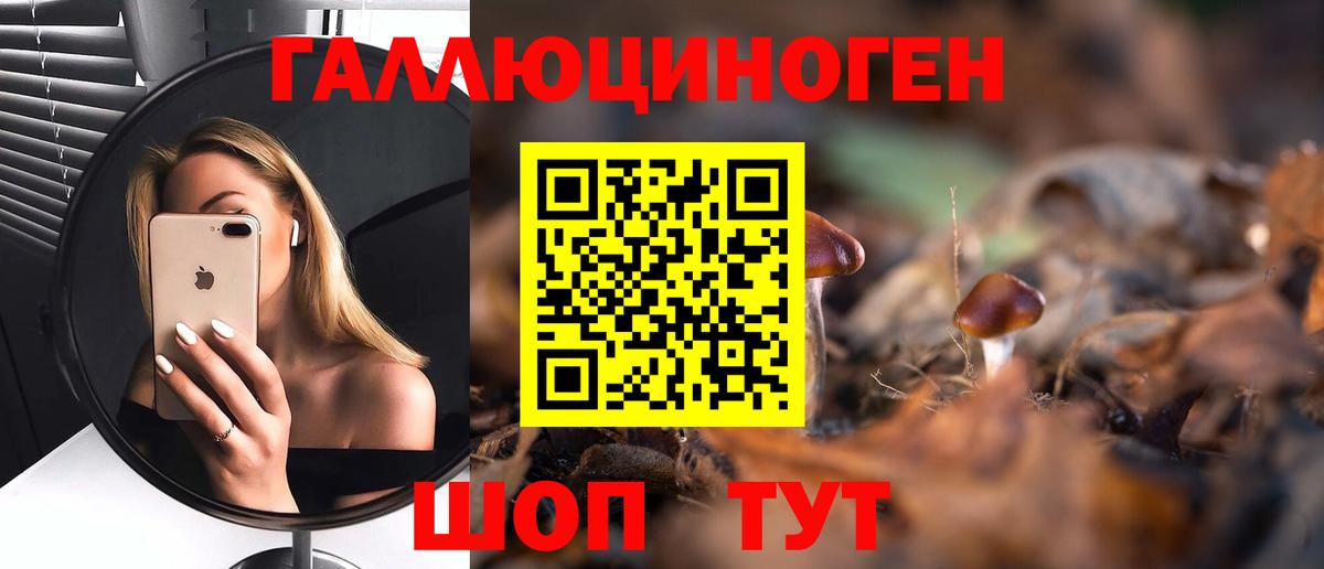 Джанкой  Псилоцибиновые грибы Cubensis  Вход с VPN 